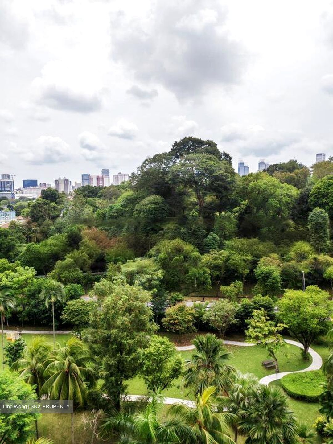 Cavenagh Court (D9), Apartment #458965081